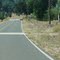 The deers bounded past