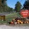 Dorney's Pumpkin Patch