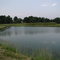 Pond on Westport Farm