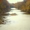 Embarras River near Lawrenceville