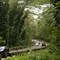 Highway at Kalihiwai Rd - 200804