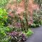 Pathway Through Botanical Garden