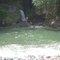 Waterfall and a rope swing into where a river meets the ocean