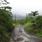 Near Mt. Waialeale, Where those Posts are is where the gates of Jurassic Park were