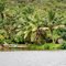 Wailua River State Park