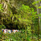 Fern Grotto