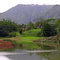 Kapaa