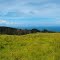 Hawaii - Pasture at Kuilei Gulch 120 - nwicon.com