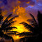 Sunset through the palms, Pupukea