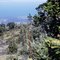 View to Maui from end of road