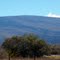 Mauna Loa