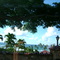 NANO HAWAII