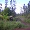 Orchidland Hawaii