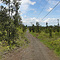 Hawaiian Acres