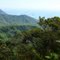 Waiahole Uka Trail view back