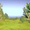Splendid Acres