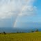 Hawaii - Rainbow and Fields Near Waipunahina Gulch - 180 - nwicon.com