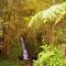 Moku‘āina o Hawai‘i - Hawaii - Havaji