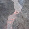 see lava run
