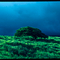 Mamalahoa Hwy (storm)