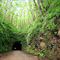 Wilcox Tunnel