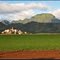 Hawaii's first sugar cane factory