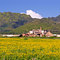 Hawaii's First Sugar Cane Factory