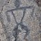 Petroglyph in Hawaii