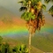 Eastern  Lahaina hills with cloud rain shinning by afternoon sun: These frequent rainbows make Hawaii the Rainbow State.