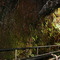 Thurston Lava Tube