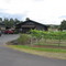 Volcano Winery