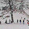 Winter Sledding, Freeport, Illinois