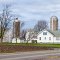 Country Farm
