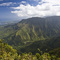 Swamp Trail View of Hanalei