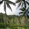 Oahu Kaaawa Valley