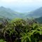 Kahana Valley from Schofield-Waikane Trail