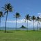Hawaii U S A.