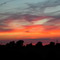 sunset near Sheldon, IL