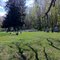 Garfield cemetery