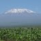 KILIMANDJARO vu du KENYA