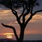 Amboseli au coucher du soleil