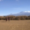 Village Massaï, Kilimanjaro