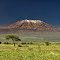 Mt Kilimanjaro