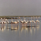 Flamingoes on Lake Magadi
