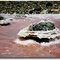 Magadi lake - Formazioni di soda - Kenya
