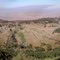 Rift Valley Panorama