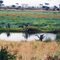 Water hole at Meru Mulika Lodge