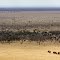 Tsavo