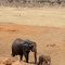 Tsavo