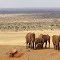 Tsavo